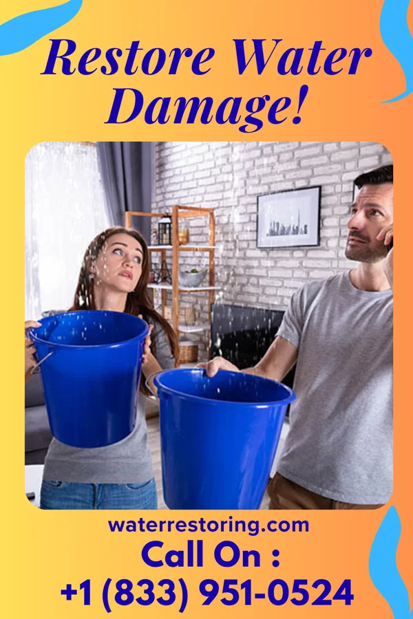 water restoration Global Flood Damage Professionals Lambertville